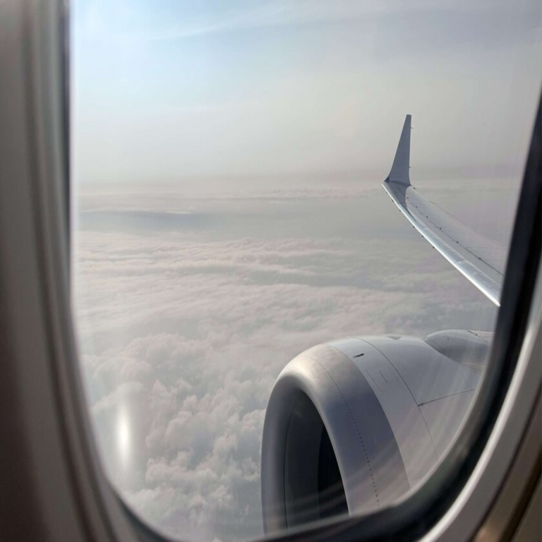 Existe una aplicación para iPhone que pronostica la turbulencia en su vuelo; dependiendo de su disposición mental, podría resultar en la mejor o la peor consulta previa al embarque.