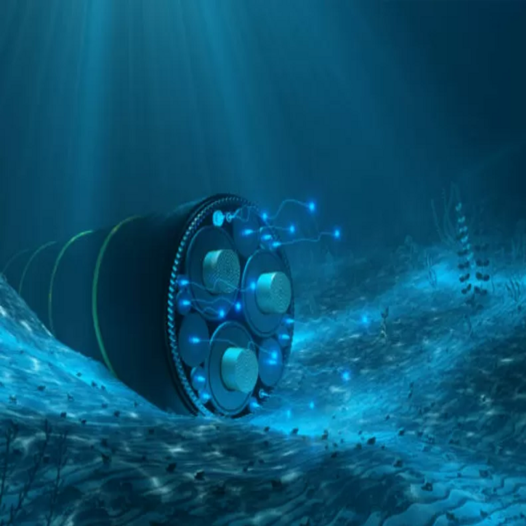 Chile: La UDI da a conocer la creación de una comisión investigadora sobre el proyecto de cable submarino que une Chile y China, al afirmar que existe una red de omisiones.