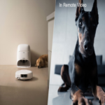 Un individuo procuraba manejar su aspiradora robótica mediante un control remoto, lo que derivó en el acceso a 6.700 dispositivos distribuidos a nivel global.