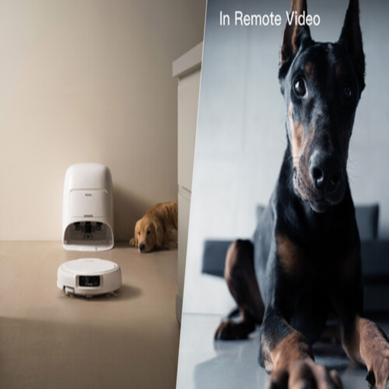 Un individuo procuraba manejar su aspiradora robótica mediante un control remoto, lo que derivó en el acceso a 6.700 dispositivos distribuidos a nivel global. Un individuo procuraba manejar su aspiradora robótica mediante un control remoto, lo que derivó en el acceso a 6.700 dispositivos distribuidos a nivel global.