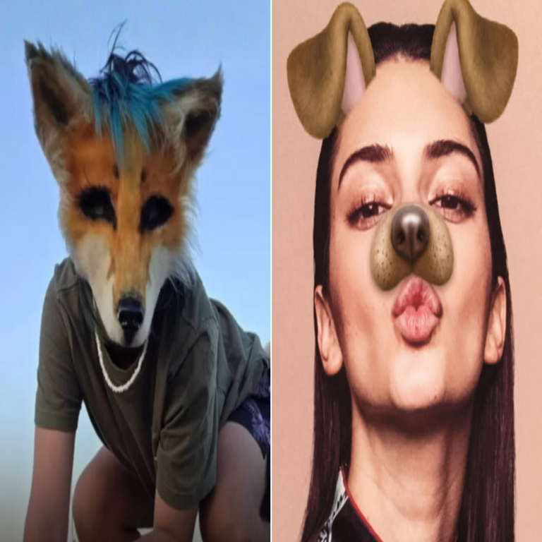 Previo a la irrupción de los therians: plataformas de redes sociales que habilitaban la personificación como perro o gato mediante el uso de filtros. Previo a la irrupción de los therians: plataformas de redes sociales que habilitaban la personificación como perro o gato mediante el uso de filtros.