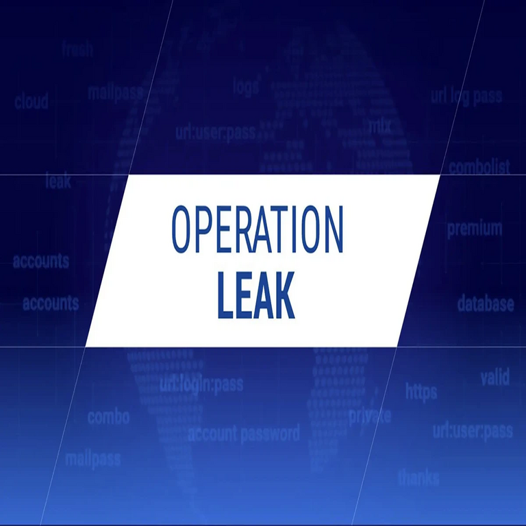 El foro de cibercrimen LeakBase, con 142.000 usuarios, ha sido desmantelado en una operación global.