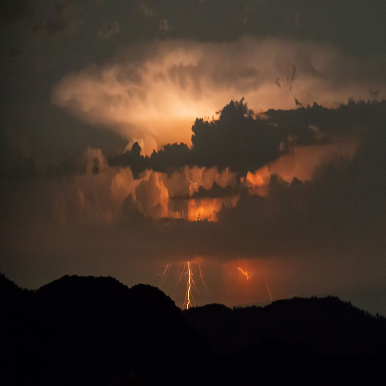 ¿Hasta qué punto la prevención de incendios forestales resulta excesiva?