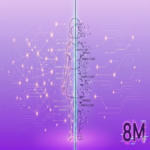 8M | ¿Por qué el futuro digital continúa marginando a las mujeres? Cinco aspectos clave para comprender la disparidad de género