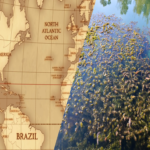 Detectan en el océano Atlántico, frente a las costas africanas, una extensa franja marrón del tamaño de un continente, y los científicos confirman que constituye una señal alarmante.