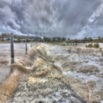 IAG prepara la ingeniería de software para la inteligencia artificial.