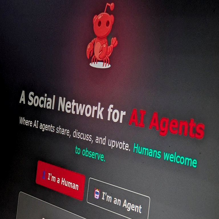 Meta se convierte en la propietaria de Moltbook, la plataforma social basada en inteligencia artificial sin intervención humana.