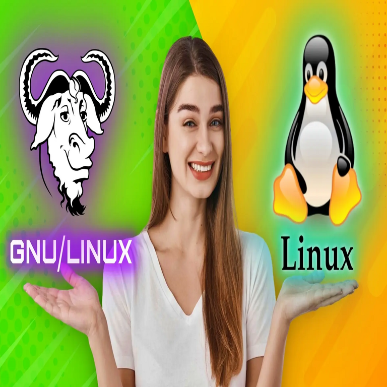 ¿Existe alguna diferencia entre Linux y GNU/Linux, y cuál es la forma correcta de denominación que se debe utilizar?