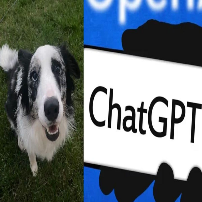 ChatGPT no logró curar el cáncer en un perro: análisis del trasfondo del caso viral