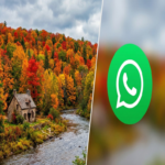 Activación del modo otoño en WhatsApp: pasos para habilitarlo y personalizar la aplicación Activación del modo otoño en WhatsApp: pasos para habilitarlo y personalizar la aplicación