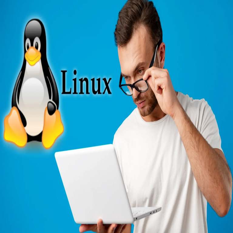 Distribuciones de Linux singulares que recomiendo explorar, aunque es poco probable que optes por mantenerlas de forma permanente.