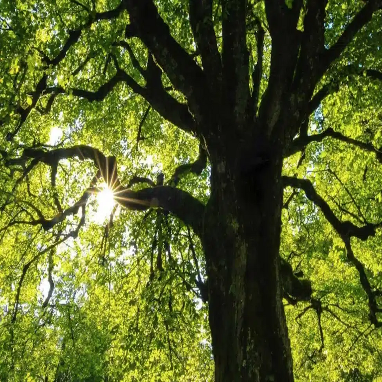 Las tecnologías digitales consumen actualmente alrededor del 4% de la electricidad global.