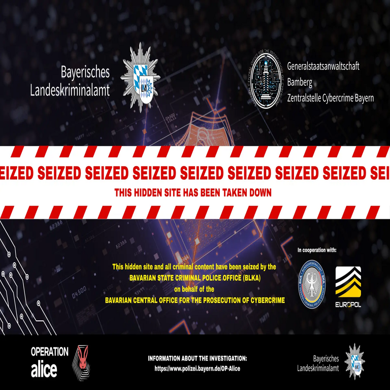 Operación policial internacional Alice desmantela 373.000 sitios web de la dark web que explotan a niños.