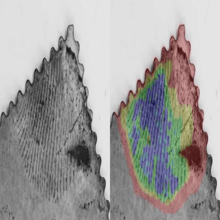 El NIST apoya a los examinadores de huellas dactilares mediante el nuevo lanzamiento de datos y software. El NIST apoya a los examinadores de huellas dactilares mediante el nuevo lanzamiento de datos y software.